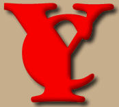 Yankee Containers Logo