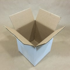 Paint Can Box for Gallon Plastic and Metal Paint Cans